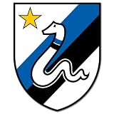 Inter Milan Internazionale Football car sticker 4" x 5"