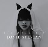 Wonderful World (Feat. Stina Nordenstam & Nine Horses) by David Sylvian - Free MP3 Song Download