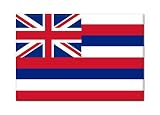 Hawaii State Flag Fridge Magnet