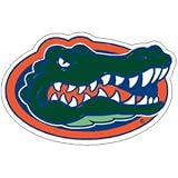 Florida Gators NCAA Precision Cut Magnet