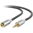 Mini-Stereo Extension Cable 3.5mm Plug
