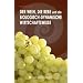 Der Wein, die Rebe und die biologisch-dynamische Wirtschaftsweise