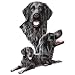 Flat Coated Retriever Night Light
