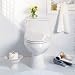 American Standard 2100.016 Cadet Elongated Toilet with Seat