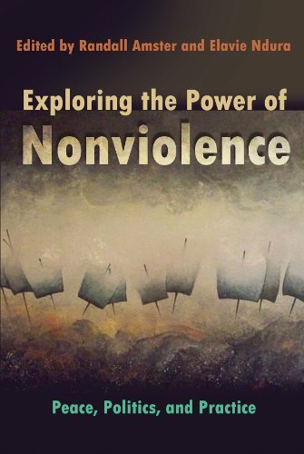 Exploring the Power of Nonviolence (Syracuse Studies on Peace and Conflict Resolution)