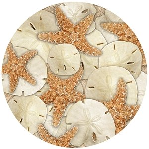 Set of Four Seaside Treasures Coasters - Style TS2205 by