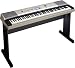 Musical Instruments : Yamaha YPG-535 88-key Portable Grand Piano Keyboard