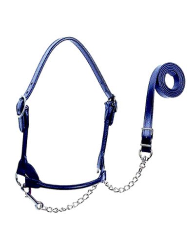 Round Nose Show Halter, 1 Cow Black
