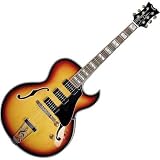 Hollow Body Electric Guitars