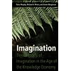 Imagination