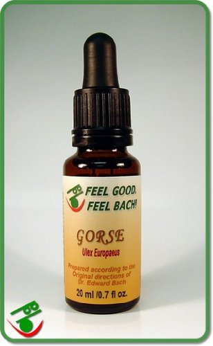 Feel Bach! flower Gorse 20 ml