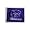 Kansas State Wildcats