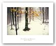 Quiet Woods by David Lorenz Winston 16.25"x24.5" Art Print Poster