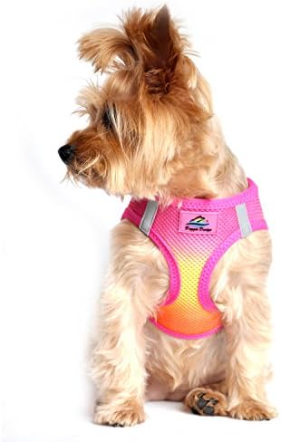 American River Dog Harness Ombre Collection - Raspberry/Pink/Orange (S (13" - 16" girth))