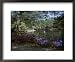 Airlie Gardens Wilmington North Carolina, USA Framed Art Poster Print, 22x18
