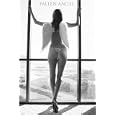 FALLEN ANGEL Art Poster
