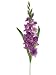 Faux 36 Gladiolus Spray Purple (Pack of 12)