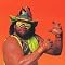 Macho Man Randy Savage