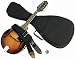 Hohner HMA A-Style Mandolin Kit, Vintage Sunburst