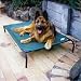 Large Pet Cot-For Pets up to 150 Pounds (Green) (7 7/8H x 51 1/8W x 31 1/2D)
