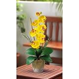 Shopzeus USA zeusd1-CALA-4269899 Single Stem Phalaenopsis Silk Orchid Arrangement
