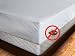 41 nqeMjgEL. SL75  Newpoint International 370 Thread Count Mercerized Cotton Queen Mattress Pad