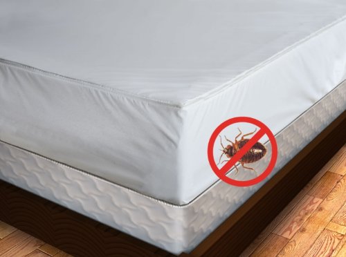 Premium Bed Bug Proof Mattress Cover - King