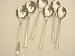 6  fruit spoons Harley design
