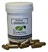Native Remedies StudyPlus Concentration Booster (60 Caps)