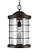 Seagull 6224401-71 One Light Outdoor Pendant