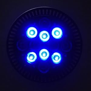 Dimmable High Power Par38 White + Blue LED Aquarium Reef Corals Grow Light Bulb, 1325w+b Dimmable High Power Par38 White + Blue LED Aquarium Reef Corals Grow Light Bulb, 1325w+b