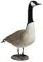 GHG Pro Grade Honker Canada Goose Decoys