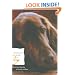 Conversations with Dog: An Uncommon Dogalog of Canine Wisdom
