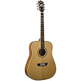 Washburn WD10 Series WD10S Acoustic Guitar