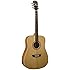 Washburn WD10 Series WD10S Acoustic Guitar