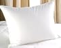 500 Thread Count 750 Fill Power Egyptian Cotton White Goose Down Pillow - Queen Size