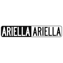 " NEGATIVE ARIELLA " STREET SIGN