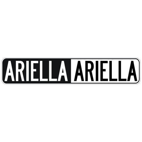 " NEGATIVE ARIELLA " STREET SIGN