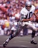 Jim Zorn Seattle Seahawks 8x10 Photo