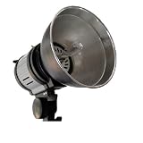 Pro studio photo video light quartz dynasun ql1000 w