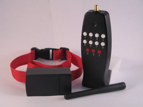 Childrens Toyshop  Pet Supplies : REMOTE DOG TRAINING