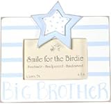 Smile for the Birdie - Big Brother Handpainted Frame