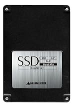 グリーンハウス ソリッドステードディスク SLC 64GB GH-SSD64GS-2SP