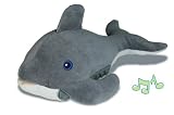 Kurgo SkyBox Booster Seat