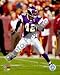 Darren Sharper - Minnesota Vikings NFL 8x10 Photo