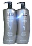 Kirkland Signature Hydrating Shampoo, 2 Pack Bonus (2 X 40 Fl Oz)