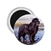 Newfoundland Refrigerator Magnet