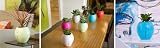 Grobal Self-Watering Planter
