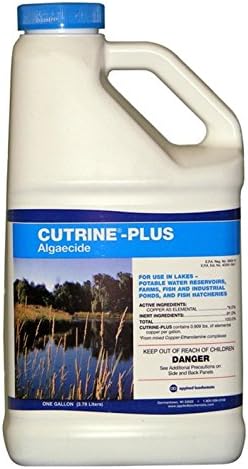 Cutrine Plus Liquid - Gallon