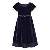 Girls' Good Lad Velvet and Taffeta Dress - Aubergine